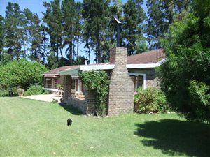 8.5 ha Farm in Harkerville