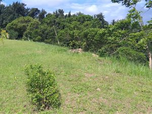 879 m² Land available in Hillcrest Park