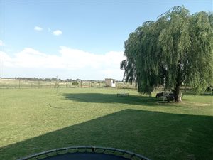 2 ha Farm in Lindequesdrif