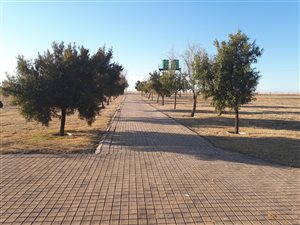 1.7 ha Farm in Oranjeville