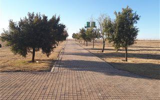 1.7 ha Farm in Oranjeville