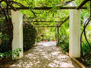 1.3 ha Farm in Oudtshoorn