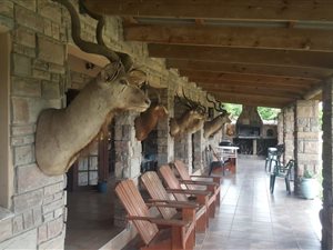 63 ha Farm in Empangeni
