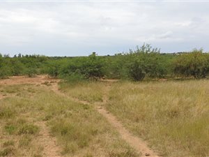 4.3 ha Land available in Bloemfontein Farms