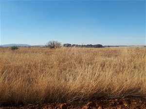 5000 m² Land available in Henley on Klip