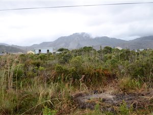 719 m² Land available in Pringle Bay