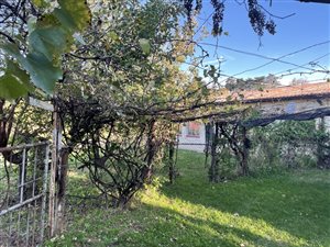 3 Bed House in Ficksburg