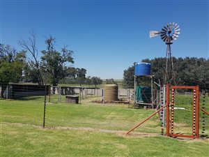 38.8 ha Farm in Bethal
