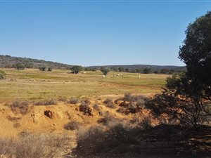 898 ha Farm in George Central