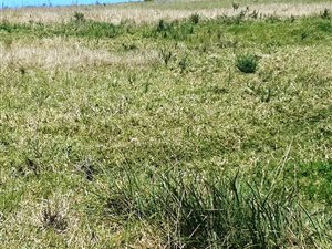 5726 m² Land available in Pacaltsdorp