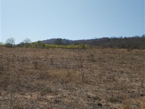 5 ha Farm in Nelspruit