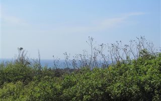 1487 m² Land available in Saiccor