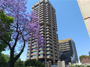 359 m² Commercial space in Auckland Park