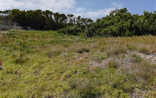 514 m² Land available in Paradise Beach