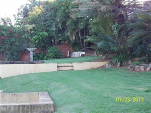 3 Bed House in Bluff