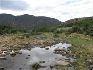 555 ha Farm in Steytlerville