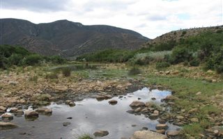 555 ha Farm in Steytlerville