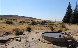 2101 ha Farm in Northern Cape
