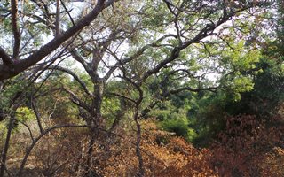 3423 m² Land available in Blyde Wildlife Estate