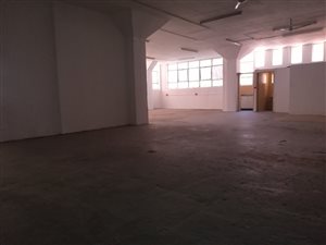 240 m² Commercial space in Greyville