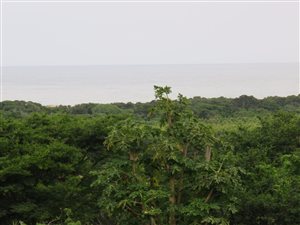 1101 m² Land available in Mtunzini