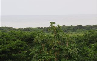 1101 m² Land available in Mtunzini