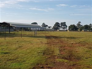 1.1 ha Land available in Springs Central