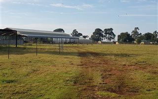 1.1 ha Land available in Springs Central