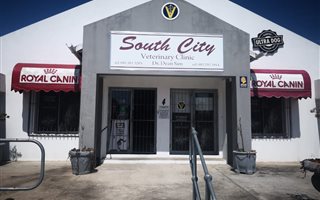 200 m² Commercial space in Walmer