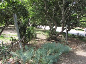 980 m² Land available in Sedgefield