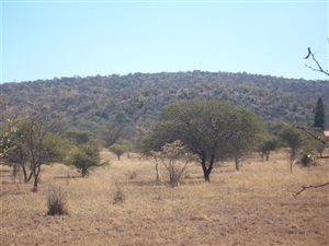 1 ha Farm in Bela-Bela (Warmbaths)