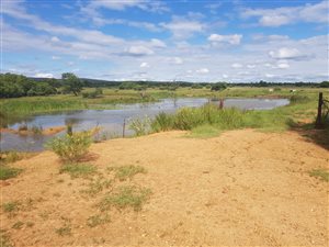 205 ha Farm in Modimole (Nylstroom)