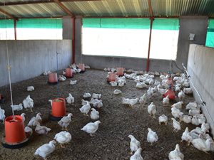 12 ha Farm in Vaalwater