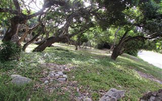 996 m² Land available in Sedgefield