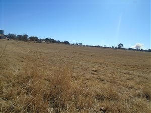 2.3 ha Land available in Rusticana