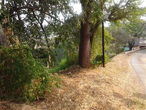 1051 m² Land available in Park Hill