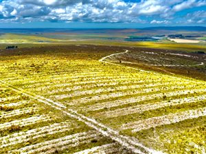 422 ha Farm in Bredasdorp
