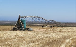 706 ha Farm in Lamberts Bay
