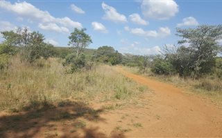 21.4 ha Farm in Boekenhoutskloof and surrounds
