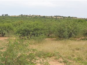 4.3 ha Land available in Bloemfontein Farms