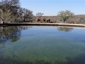 956.3 ha Farm in Beaufort West