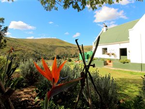 2.4 ha Farm in Ruiterbos