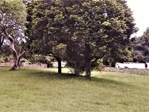 2285 m² Land available in Kloof