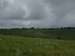 2 ha Land available in Summerveld