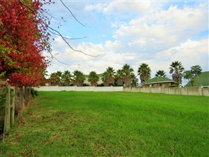 981 m² Land available in King George Park