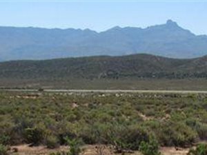 42 ha Farm in Ladismith