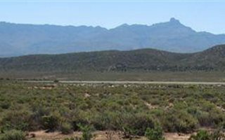 42 ha Farm in Ladismith