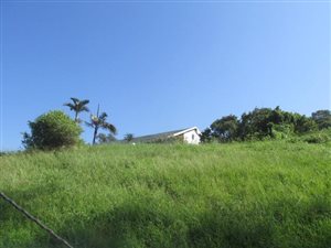 1115 m² Land available in Desainagar