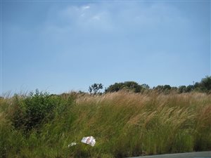 1133 m² Land available in Amandasig