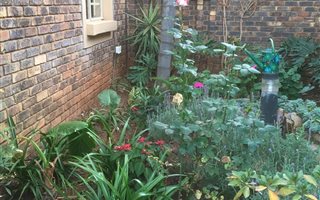 2 Bedroom Flat in Pierre van Ryneveld